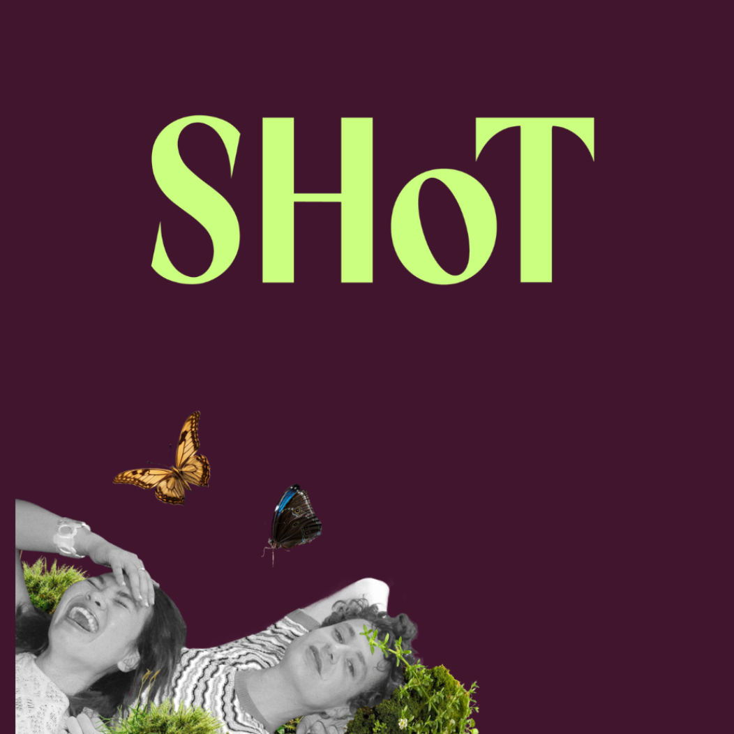 Hva er SHoT?