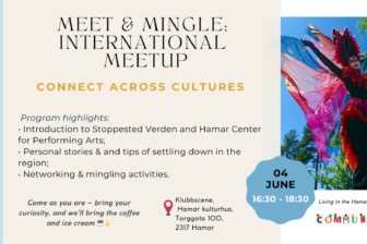 Meet & Mingle:  international  meetup