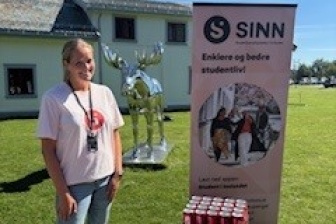 SINN kafe