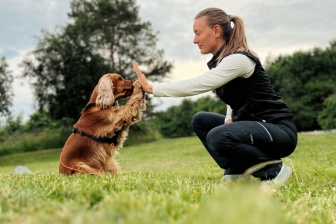 thumbnail_3822160D-1E54-4545-A1C3-824E025634A1 Studiepause med hund 🐾